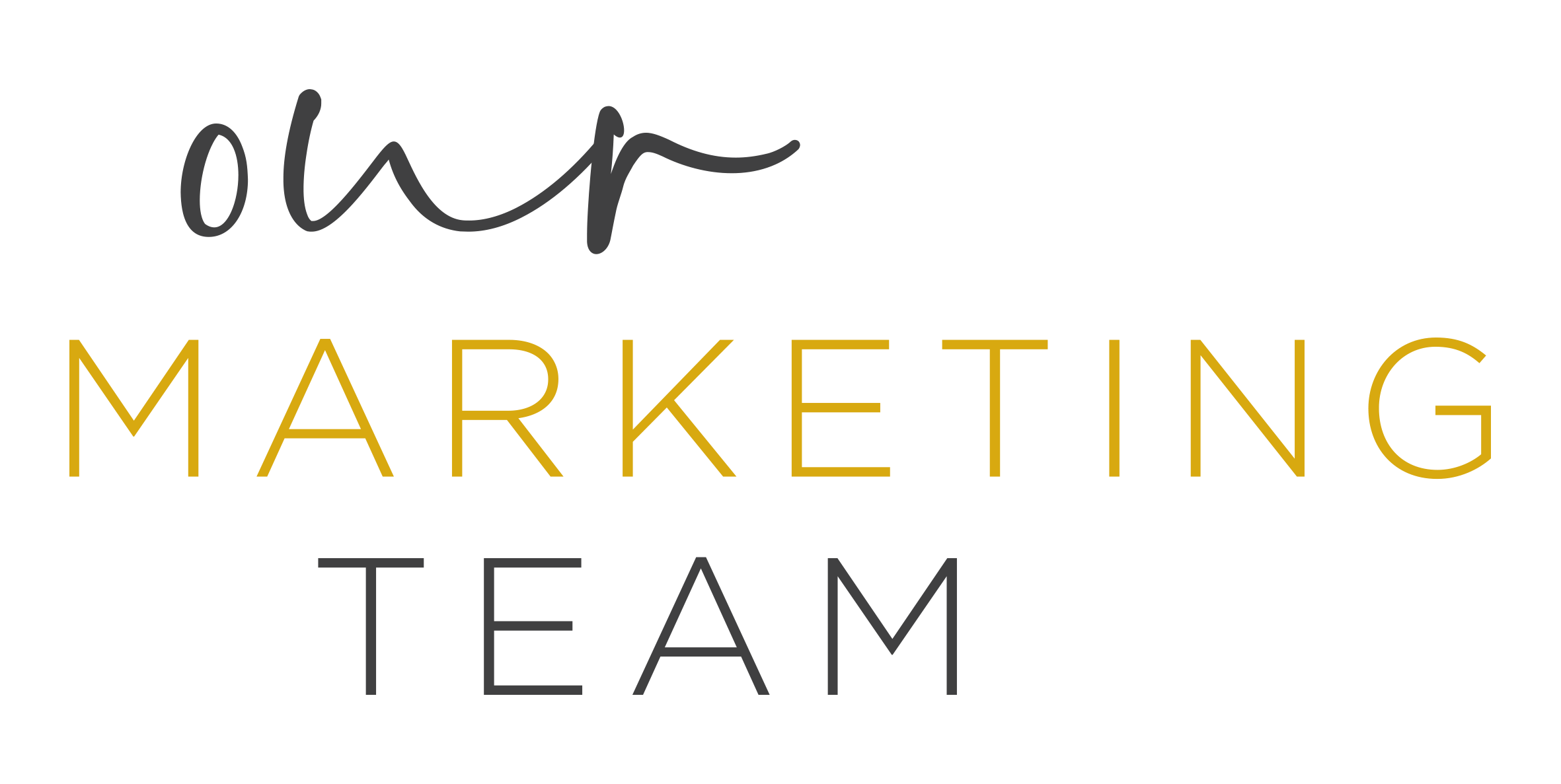 Our Marketing Team Logo - The Directors Choice