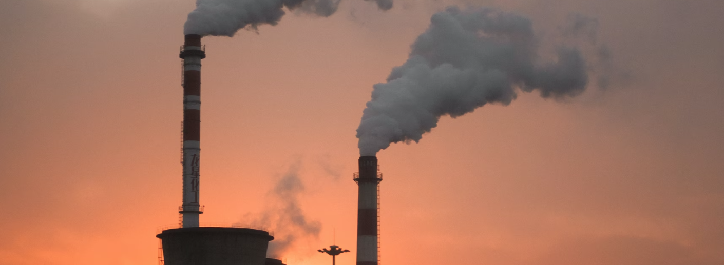 Business And Net Zero The Directors Choice